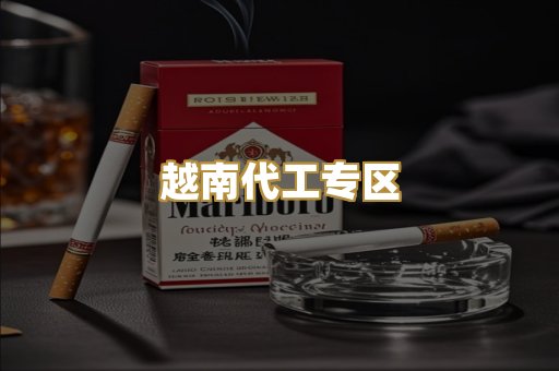 越南代工专区